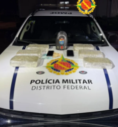 foto Notícia Samambaia