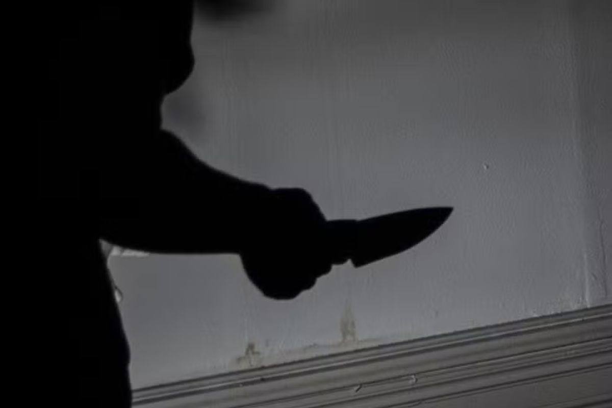 foto Not&iacute;cia Samambaia