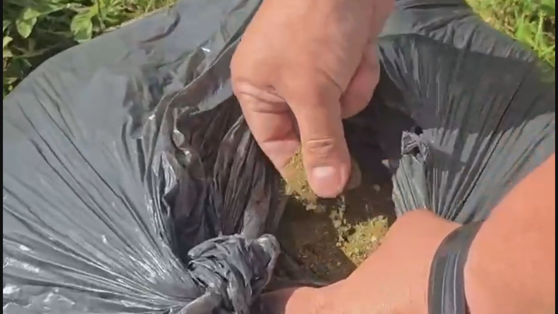 foto Not&iacute;cia Samambaia